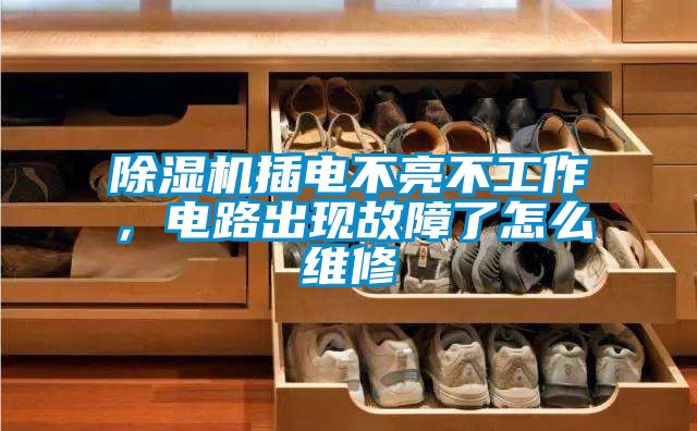 除濕機(jī)插電不亮不工作<div   id=