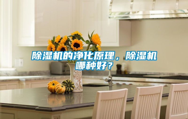 除濕機的凈化原理，除濕機哪種好<div   id=