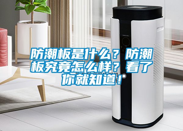 防潮板是什么？防潮板究竟怎么樣<div   id=
