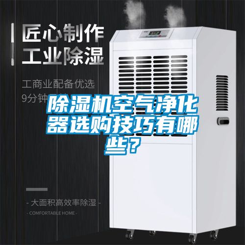 除濕機(jī)空氣凈化器選購技巧有哪些<div   id=