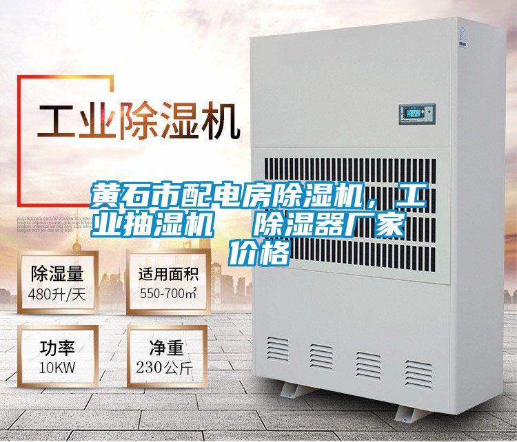 黃石市配電房除濕機(jī)<div   id=