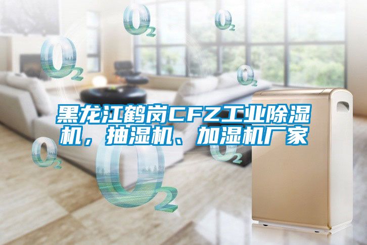 黑龍江鶴崗CFZ工業(yè)除濕機(jī)，抽濕機(jī)<div   id=