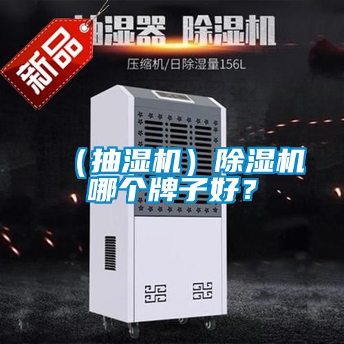 （抽濕機(jī)）除濕機(jī)哪個牌子好<div   id=