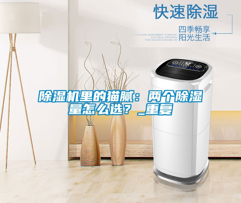 除濕機(jī)里的貓膩：兩個(gè)除濕量怎么選？_重復(fù)