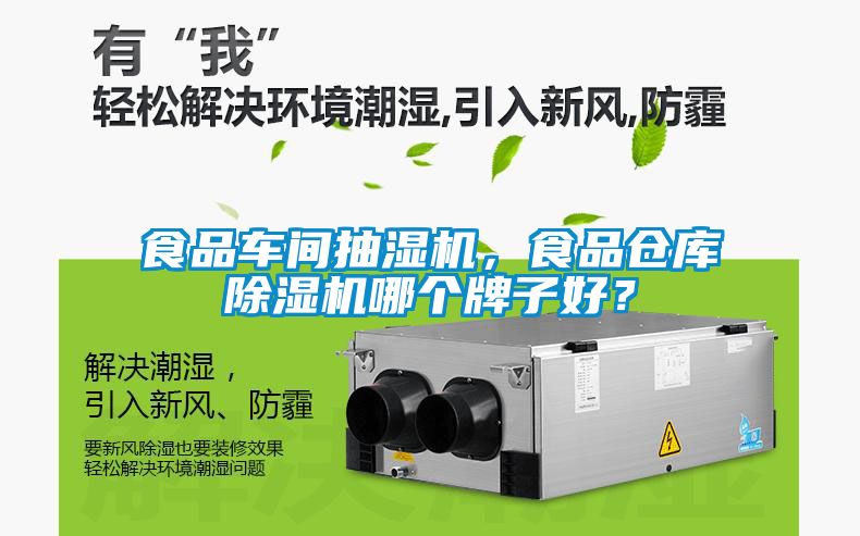 食品車間抽濕機<div   id=