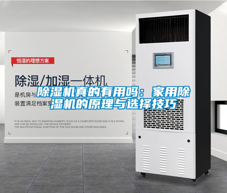 除濕機(jī)真的有用嗎：家用除濕機(jī)的原理與選擇技巧