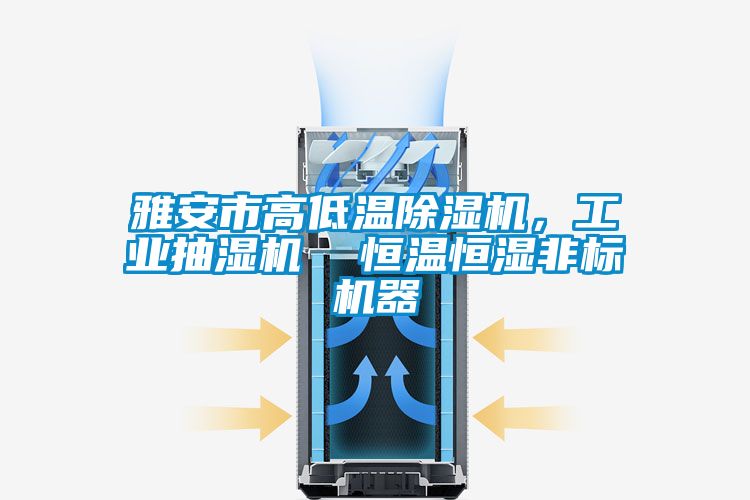 雅安市高低溫除濕機，工業(yè)抽濕機  恒溫恒濕非標(biāo)機器