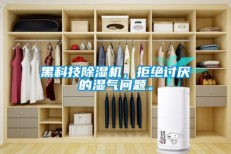 黑科技除濕機(jī)，拒絕討厭的濕氣問題<div   id=