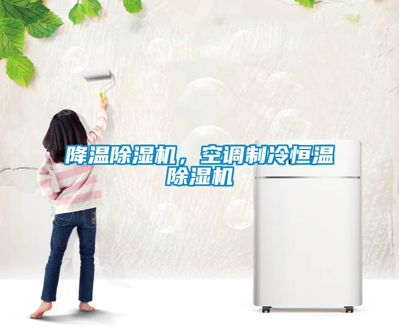 降溫除濕機(jī)，空調(diào)制冷恒溫除濕機(jī)