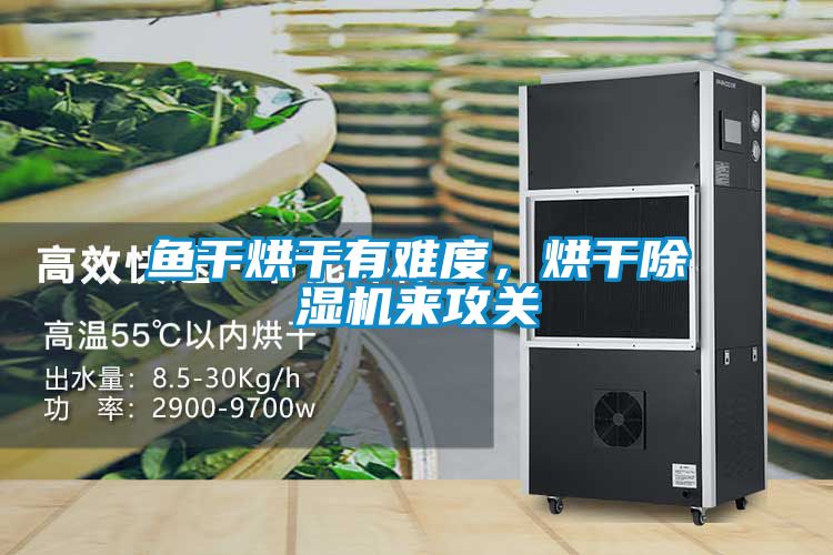 魚干烘干有難度，烘干除濕機(jī)來攻關(guān)