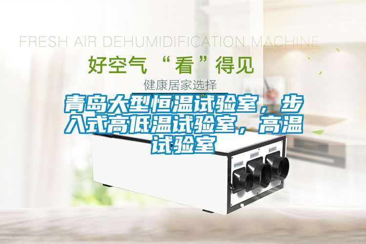 青島大型恒溫試驗(yàn)室，步入式高低溫試驗(yàn)室，高溫試驗(yàn)室