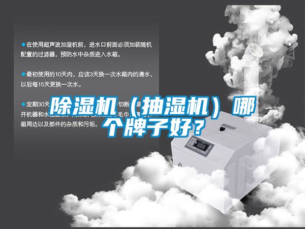 除濕機(jī)（抽濕機(jī)）哪個(gè)牌子好<div   id=