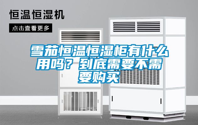 雪茄恒溫恒濕柜有什么用嗎？到底需要不需要購買
