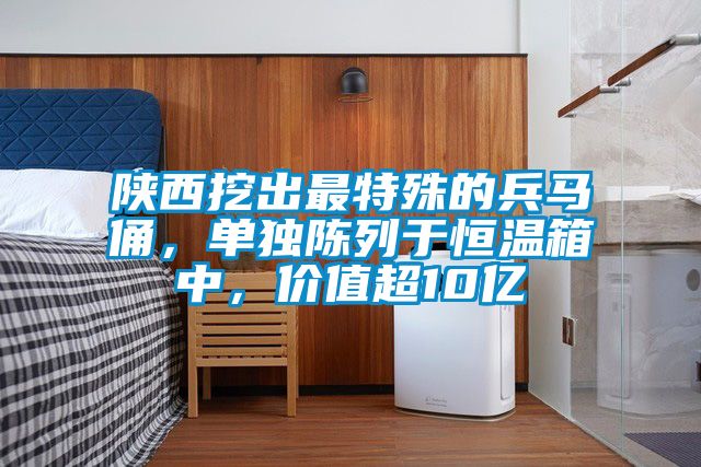陜西挖出最特殊的兵馬俑，單獨陳列于恒溫箱中，價值超10億