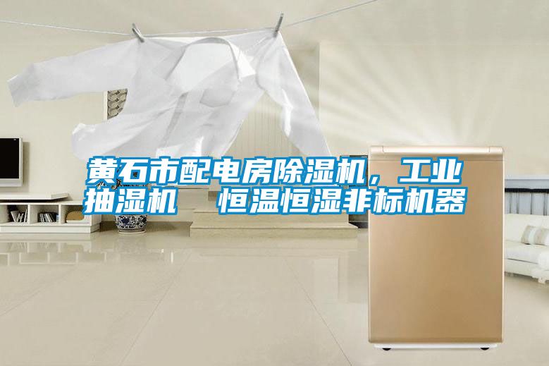 黃石市配電房除濕機<div   id=