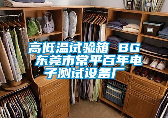 高低溫試驗箱 BG 東莞市常平百年電子測試設(shè)備廠