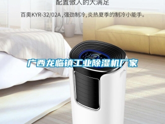 企業(yè)新聞廣西龍臨鎮(zhèn)工業(yè)除濕機(jī)廠(chǎng)家