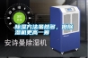除濕方法雖然多，但除濕機更高一籌