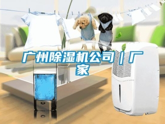 企業(yè)新聞廣州除濕機(jī)公司｜廠(chǎng)家