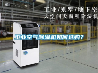 工業(yè)空氣除濕機(jī)如何選購<div id= 常見問題工業(yè)空氣除濕機(jī)如何選購?