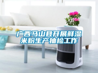 企業(yè)新聞廣西馬山縣開(kāi)展鮮濕米粉生產(chǎn)抽檢工作
