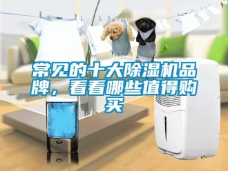 常見的十大除濕機(jī)品牌<div id= 企業(yè)新聞常見的十大除濕機(jī)品牌,看看哪些值得購買