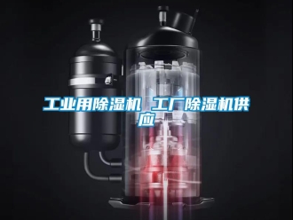 常見問題工業(yè)用除濕機(jī) 工廠除濕機(jī)供應(yīng)