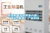 除濕機電子商務發(fā)力營銷“優(yōu)價+服務”廣獲好評