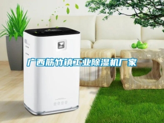 企業(yè)新聞廣西筋竹鎮(zhèn)工業(yè)除濕機(jī)廠(chǎng)家
