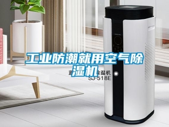 常見問題工業(yè)防潮就用空氣除濕機