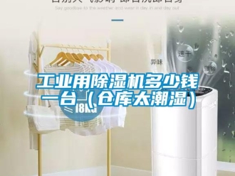 常見問題工業(yè)用除濕機(jī)多少錢一臺(tái)（倉庫太潮濕）