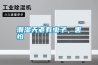 潮濕天老有蟲子，害怕