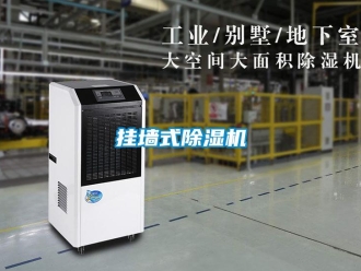 行業(yè)新聞掛墻式除濕機
