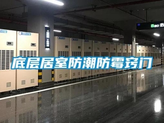 企業(yè)新聞底層居室防潮防霉竅門(mén)